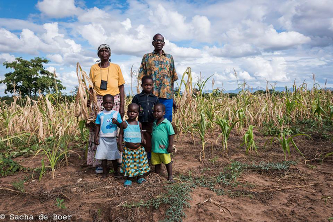Een Zimbabwaanse boerenfamillie op hun akker. Foto: Sacha de Boer